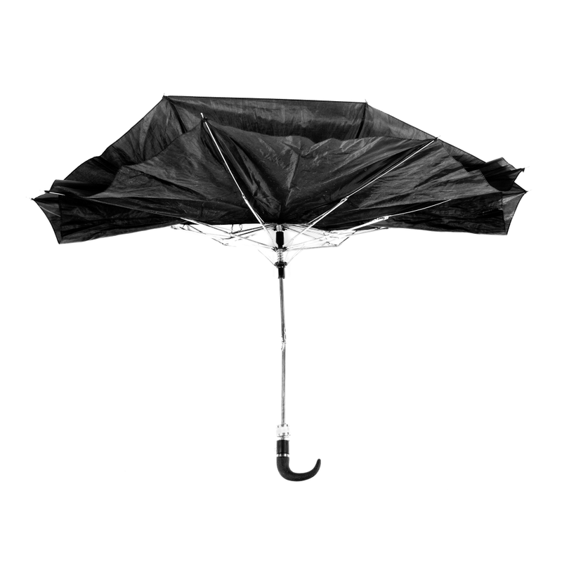 Illustration for article titled Mangled Umbrella Photos Put a Staple of NYC Life In the Spotlight